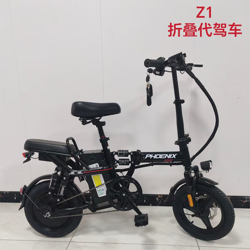 Z1 Foldable e-bike for drunk driving